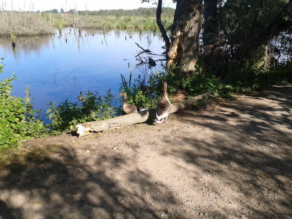 Apartament Kolonialny Olympic Park コウォブジェク エクステリア 写真